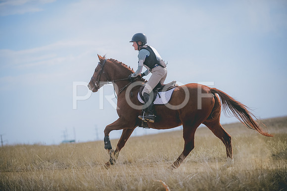 JJS_1834