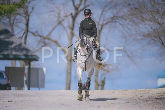 JJS_0779