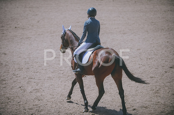 000_0393A