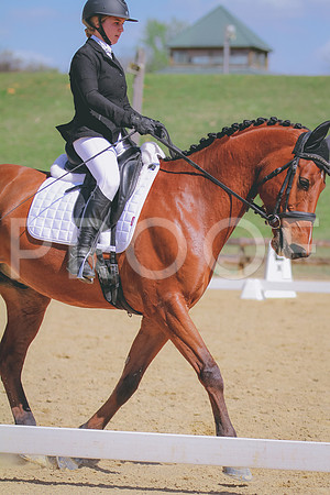 IMG_8245 (2)