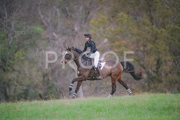 JJS_0818