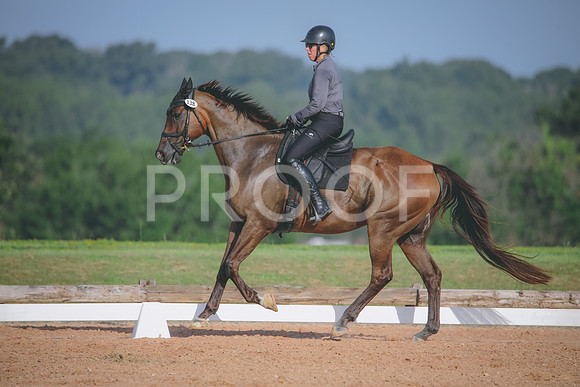 RWP_4517