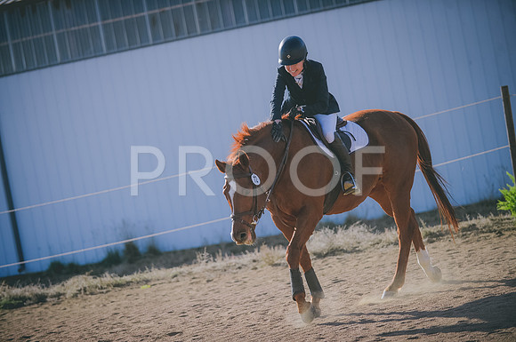 JJS_0022