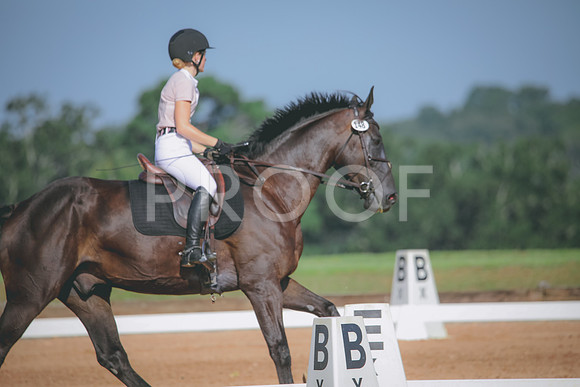 RWP_4627