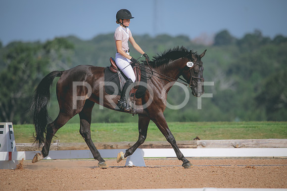 RWP_4638