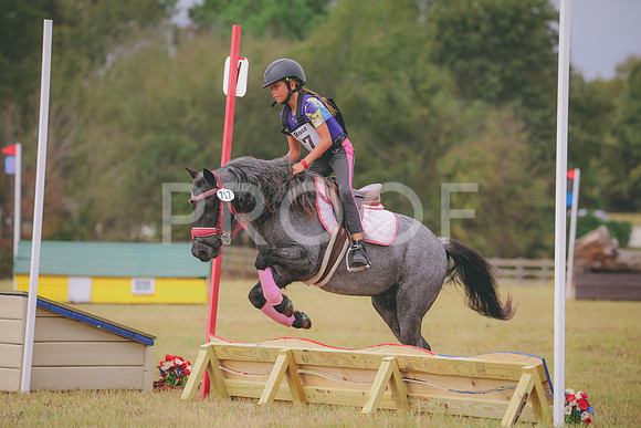 RWP_3857