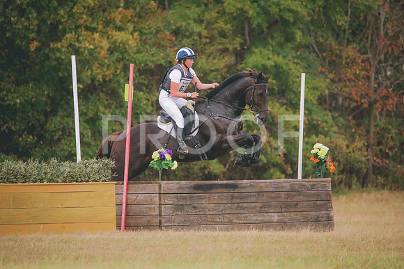 RWP_2979