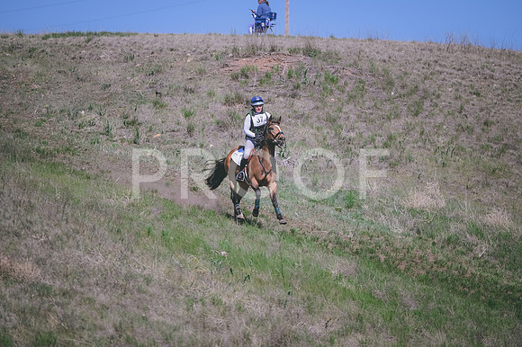 DSC_7123A