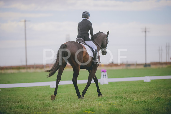 JJS_0008