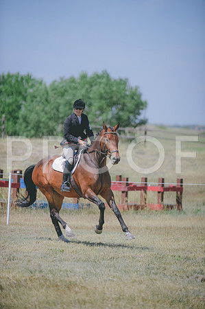 JJS_7001
