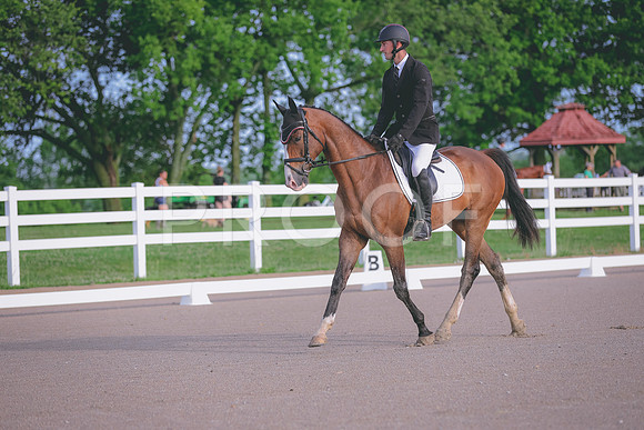 HLJ_1116