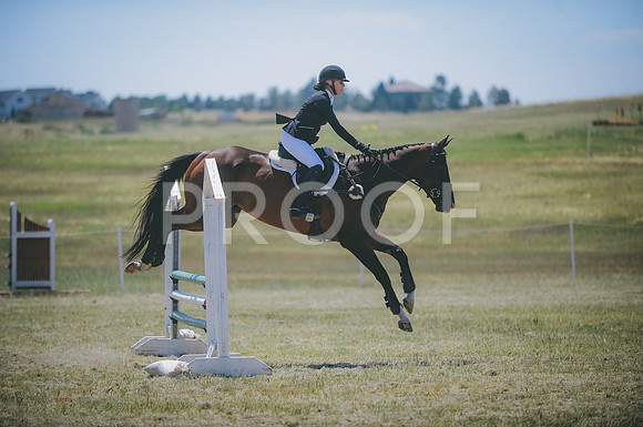 JJS_7937