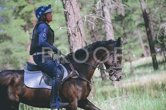 JJS_3763
