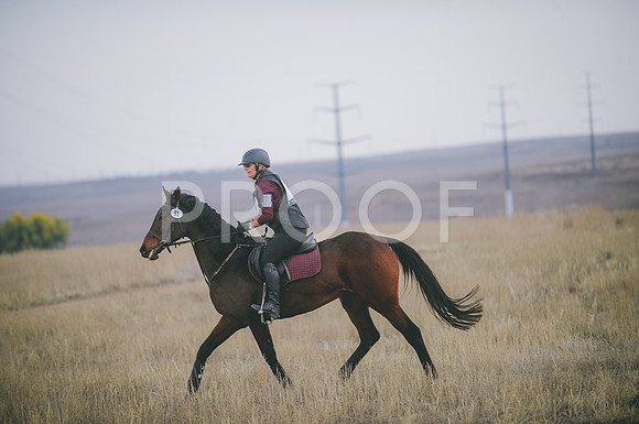 JJS_5395A