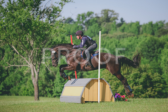 RWP_2994
