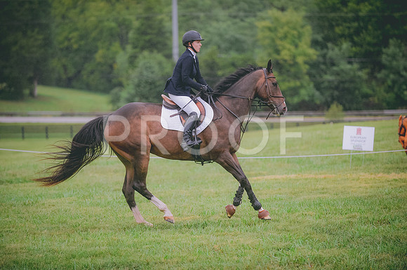 JJS_0571