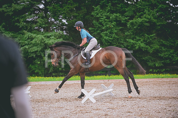 DSC_1883