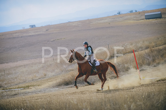 JJS_1806