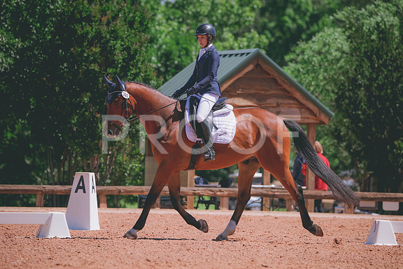 RWP_0214