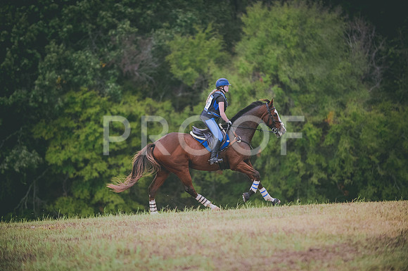 JJS_1425