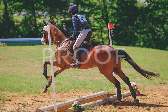 TKP_4336
