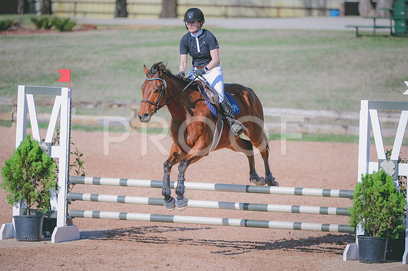 JJS_8519