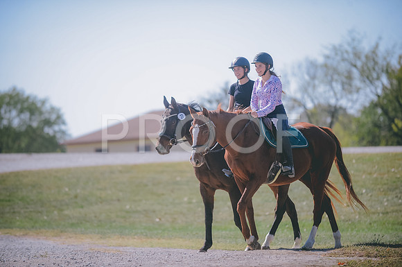 JJS_0580