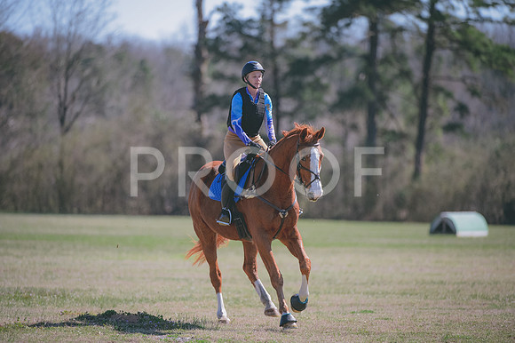 JJS_0537