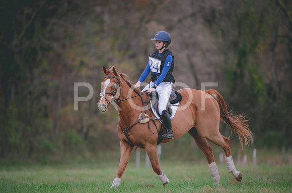 JJS_0280