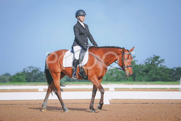 RWP_3764
