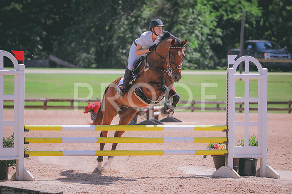 RWP_5279