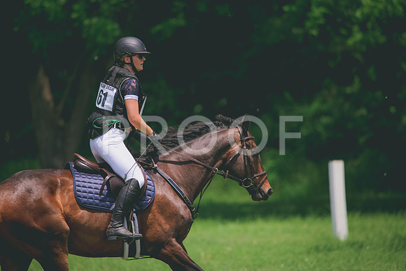 RWP_3881