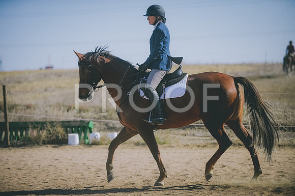 JJS_3615