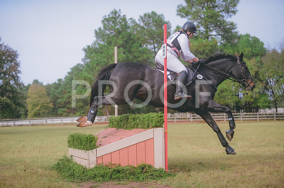 JJS_4931