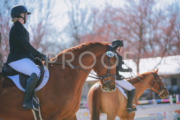 JJS_0430