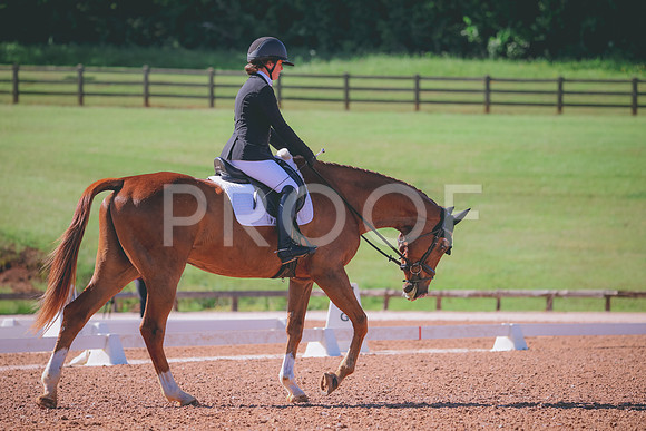 RWP_9641