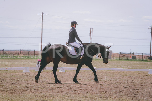 CDH_7667