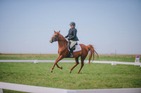 JJS_0546