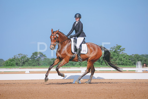 RWP_3938