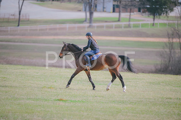 JJS_0739