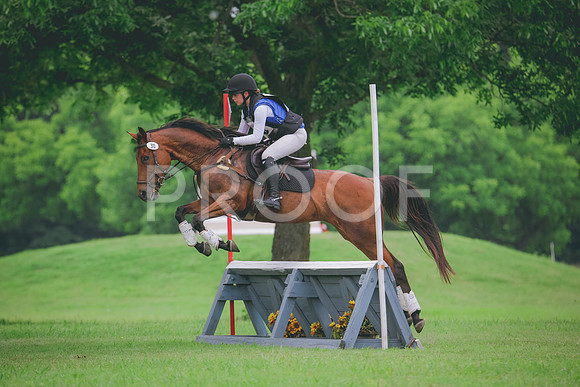 RWP_2463