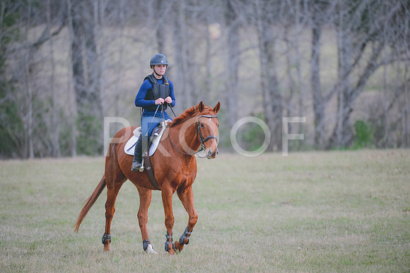 JJS_0419