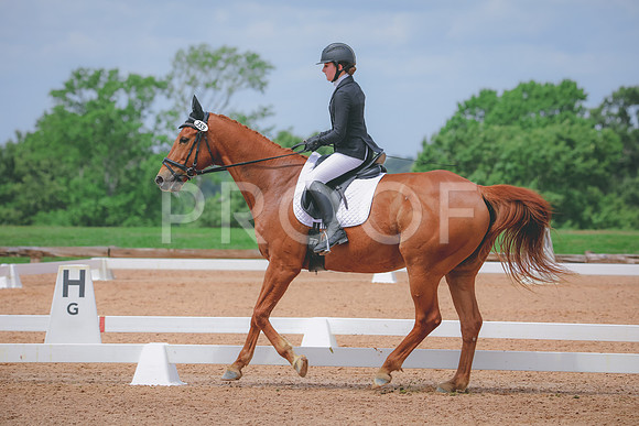 RWP_4558