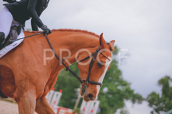 JC5_8263