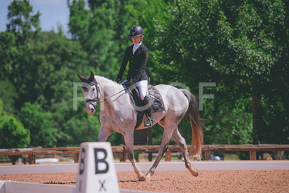 RWP_0181