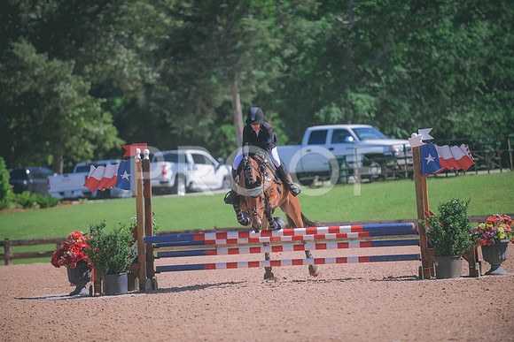 _DSC6234
