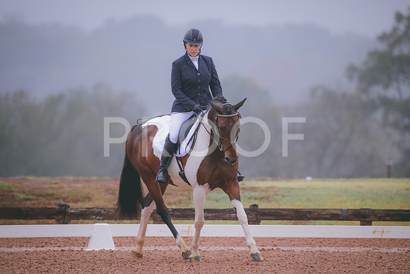 RWP_0901