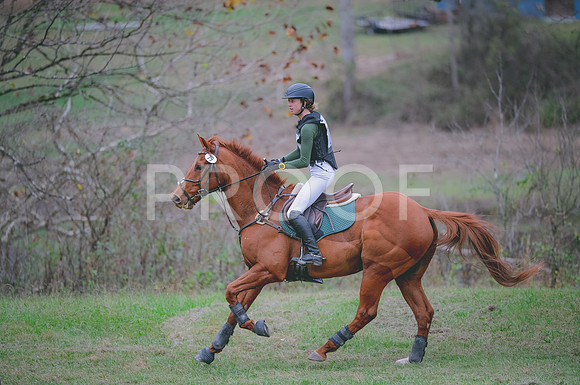 JJS_1419
