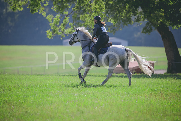 RWP_6365