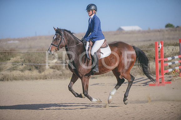 JJS_8956